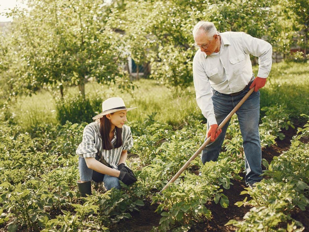 environmental farm plan program iafbc